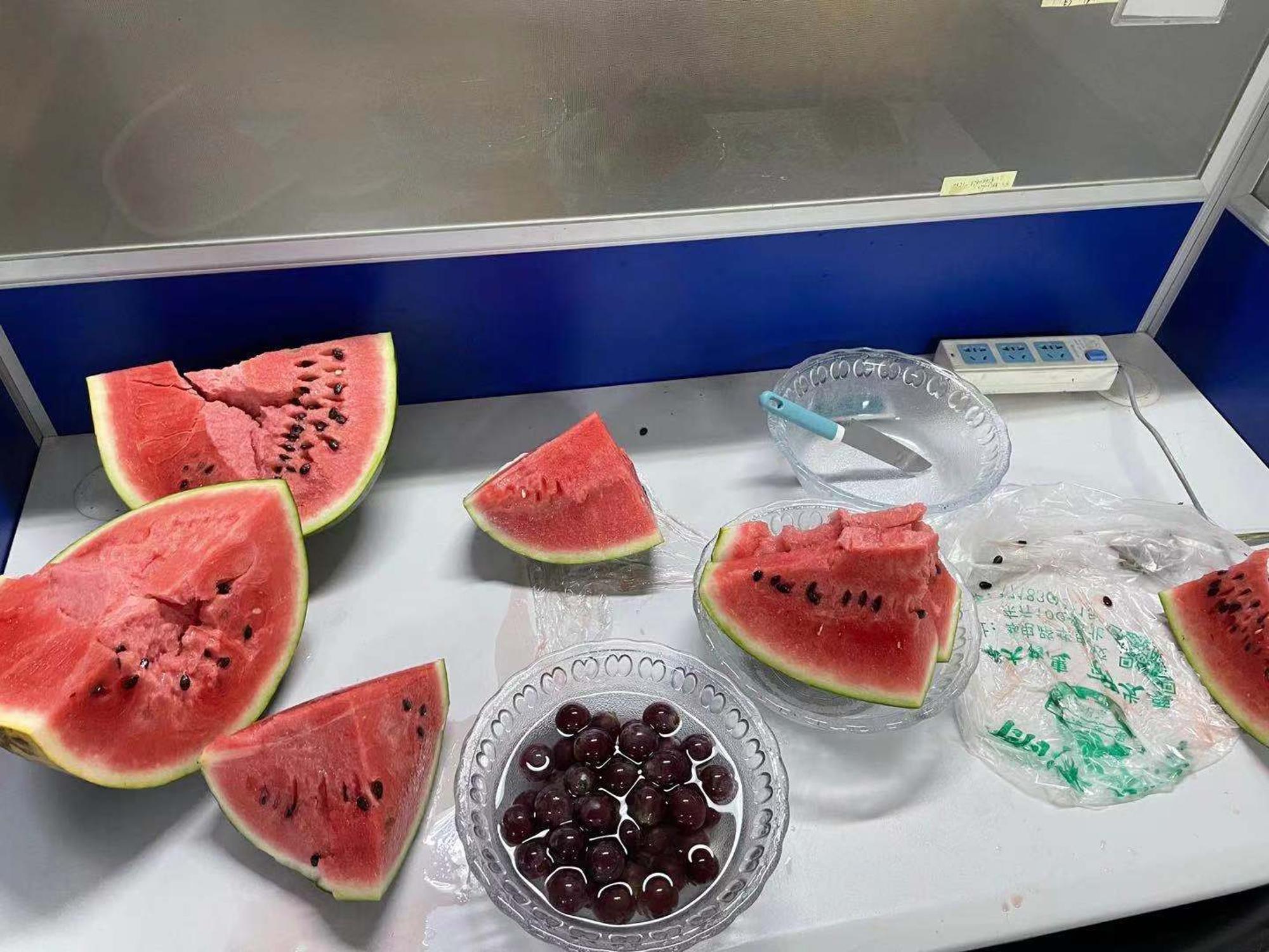吃瓜图🍉