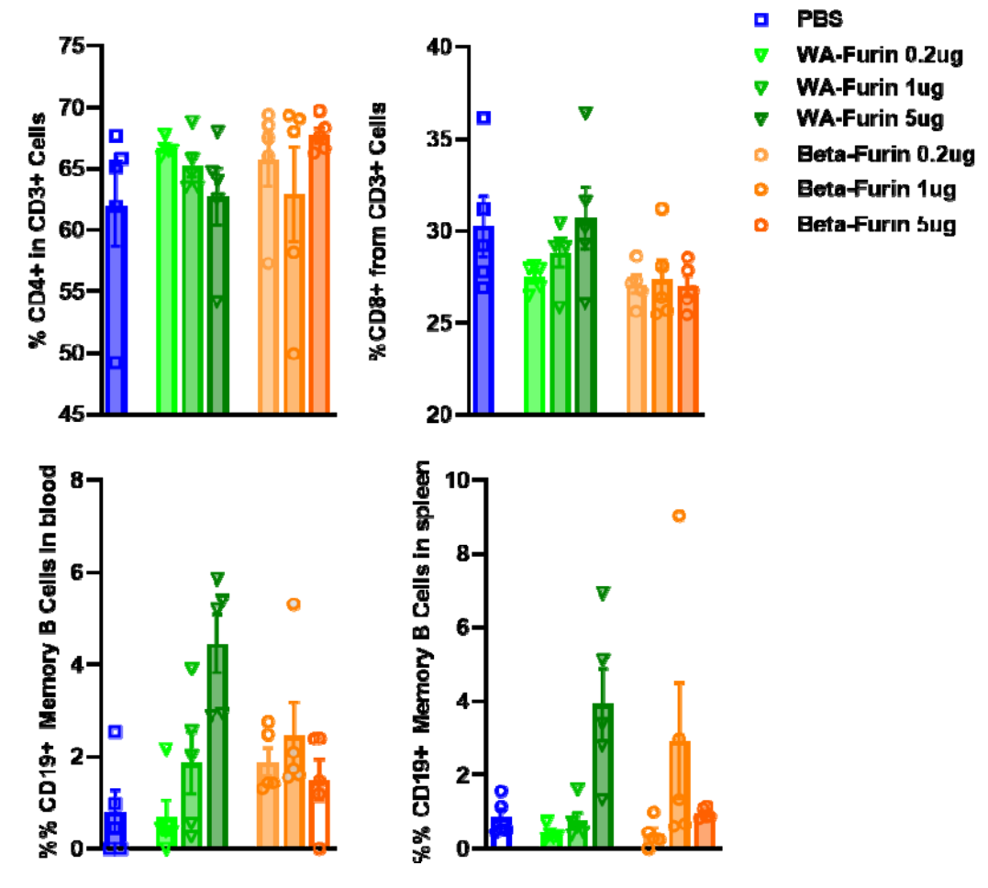 接种Spike-furin mRNA疫苗小鼠脾脏和血清中免疫B和T细胞数量变化