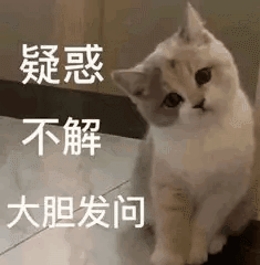 猫猫问号.jpg