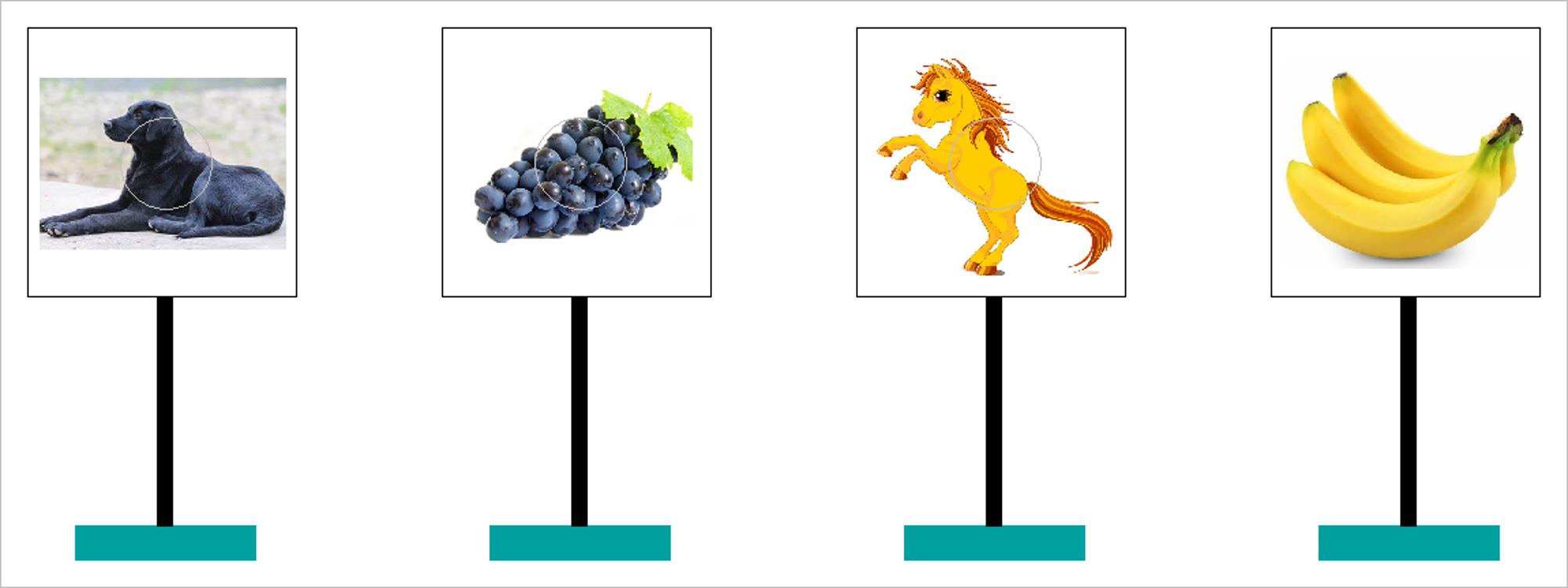 ▲ 靶标牌上的动物和水果图案