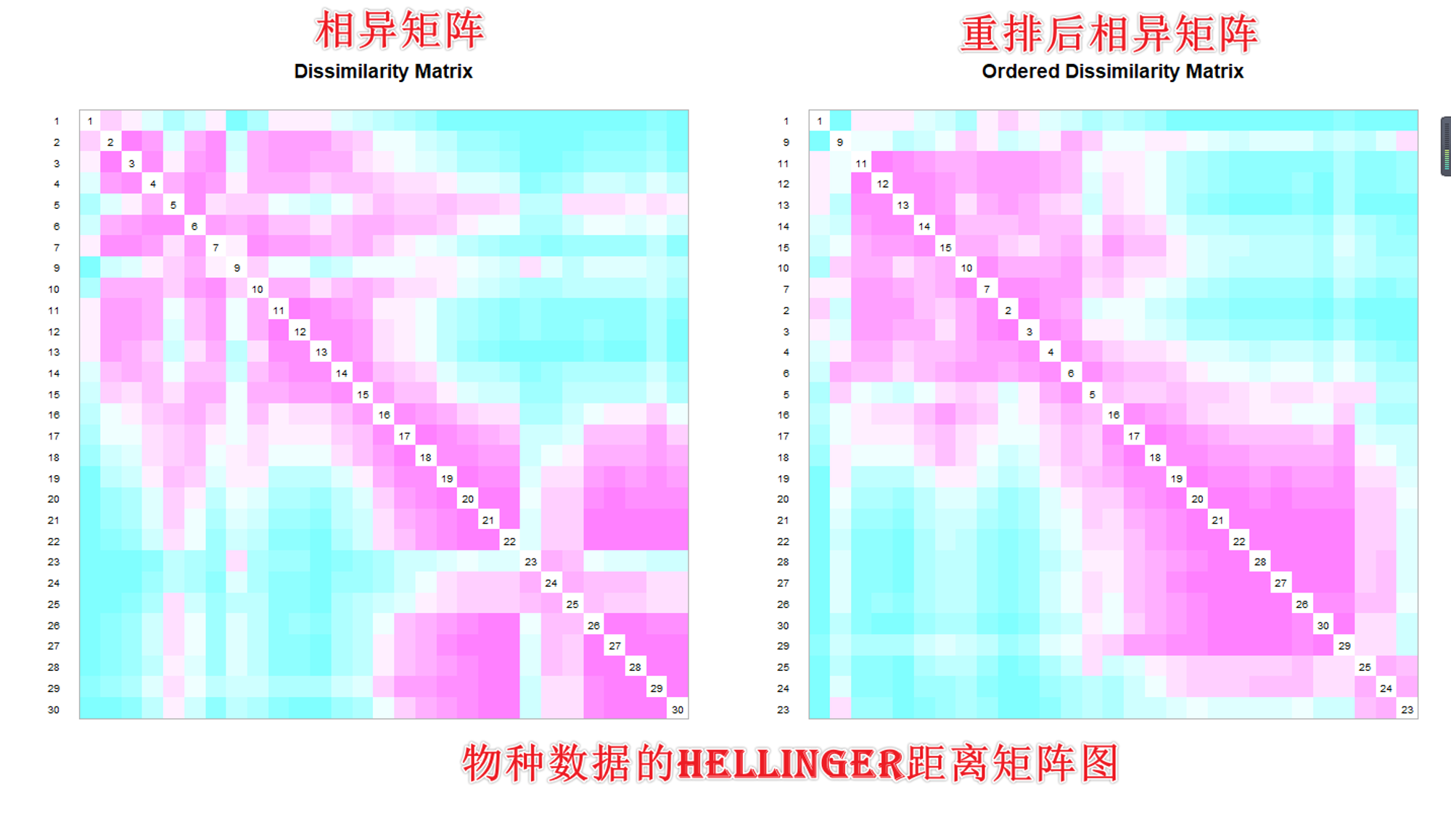 物种数据的Hellinger距离矩阵