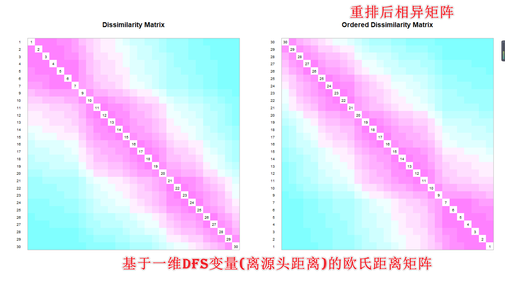 基于一维dfs变量(离源头距离)的欧氏距离矩阵