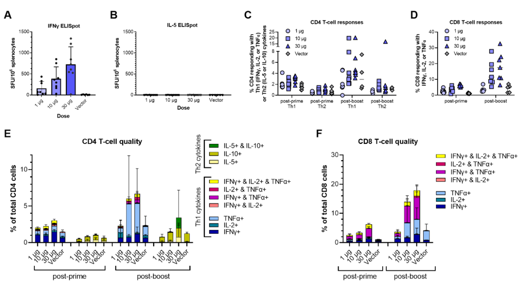 AHHI-SC2免疫小鼠强烈触发偏向Th1的细胞免疫反应