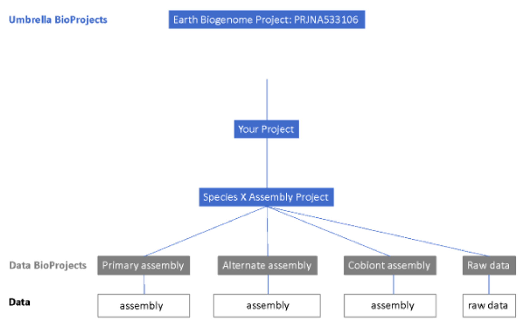 bioproject.png