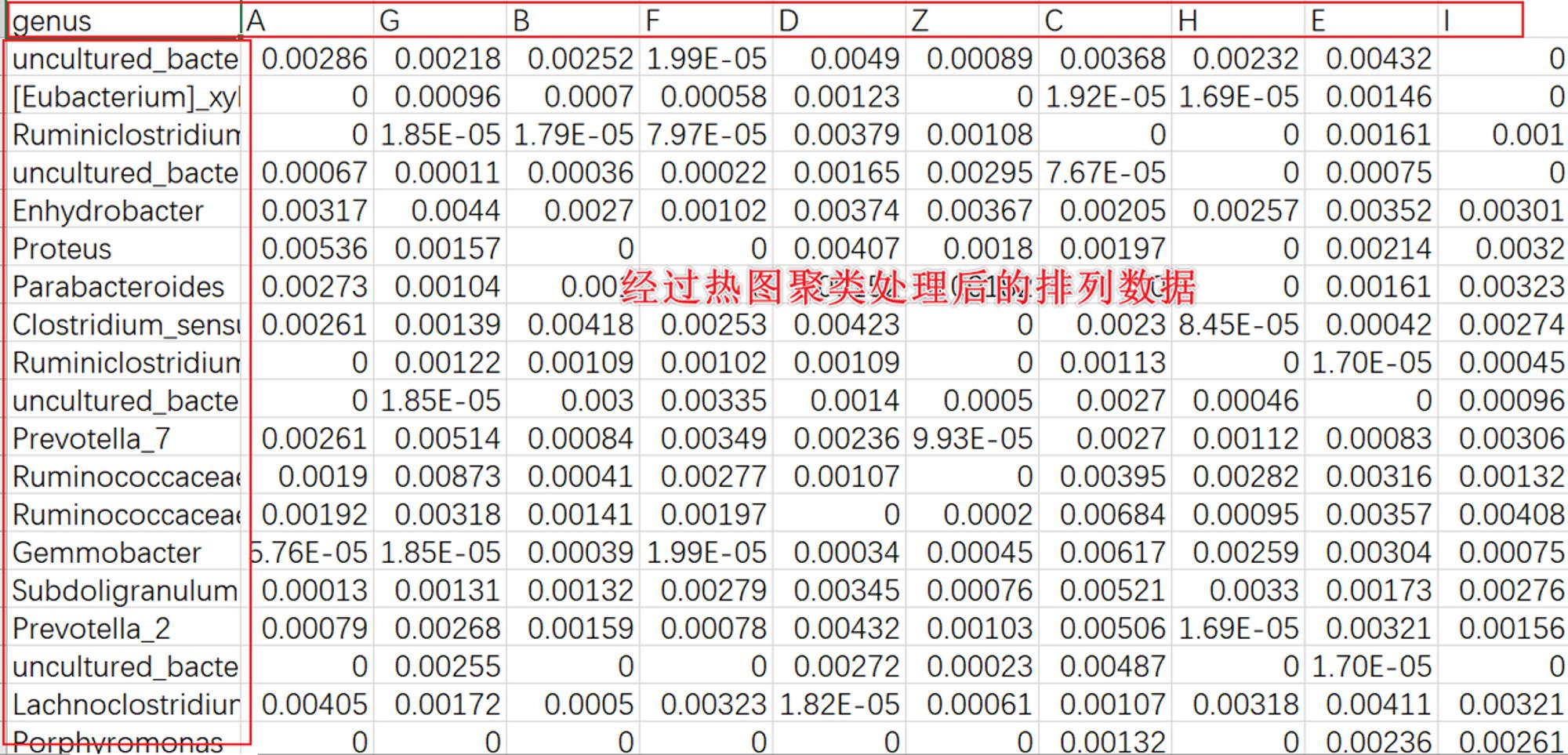 热图聚类后处理后的排序.png