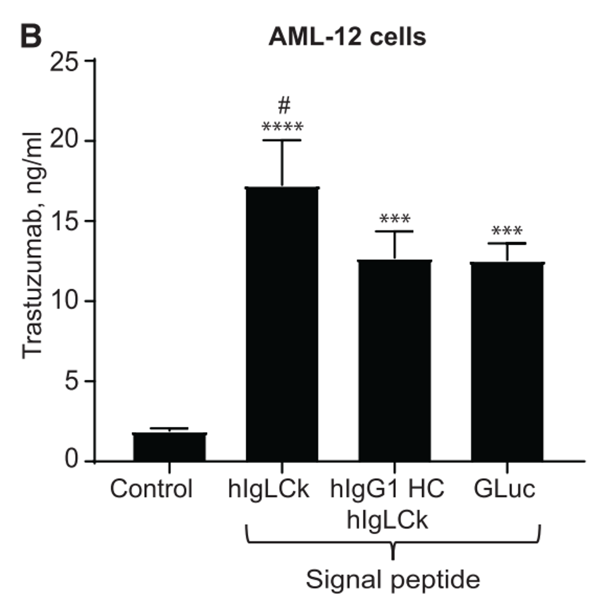 把不同SP-trastuzumab mRNA转染mouse hepatocytes（AML-12 cells），24h以后用ELISA测定trastuzumab 在细胞裂解液和培养基中的表达量