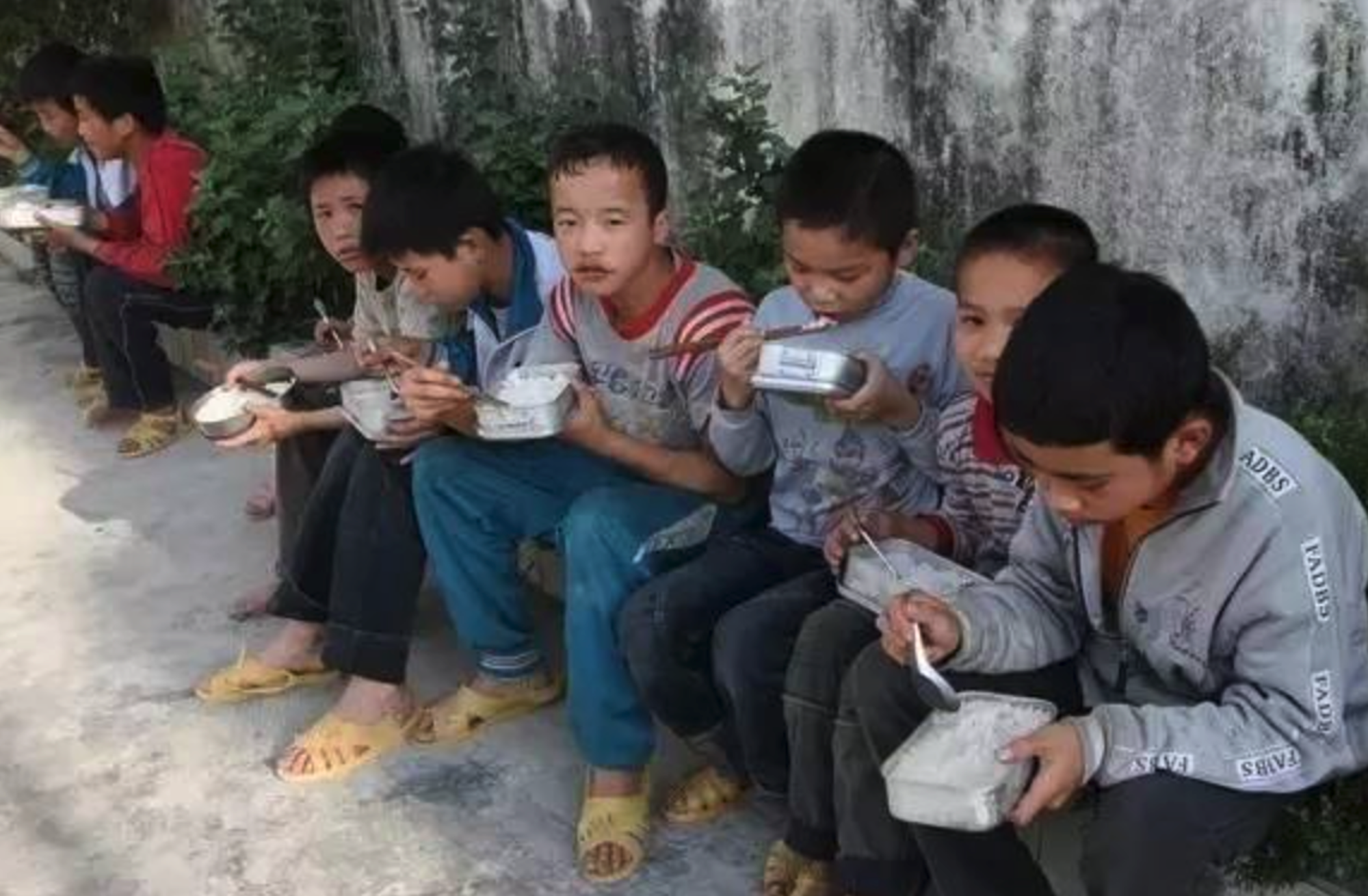 无食堂,网图