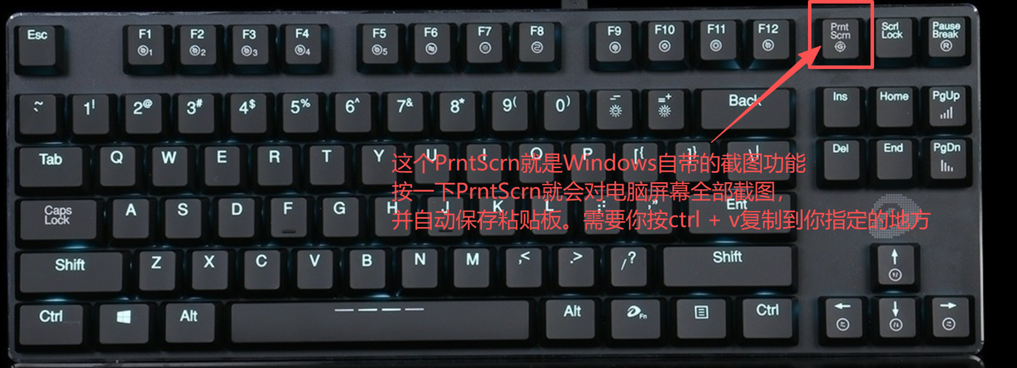 墨滴社区