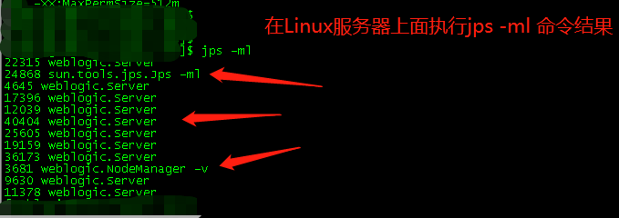 Linux服务器上面执行jps -ml命令结果