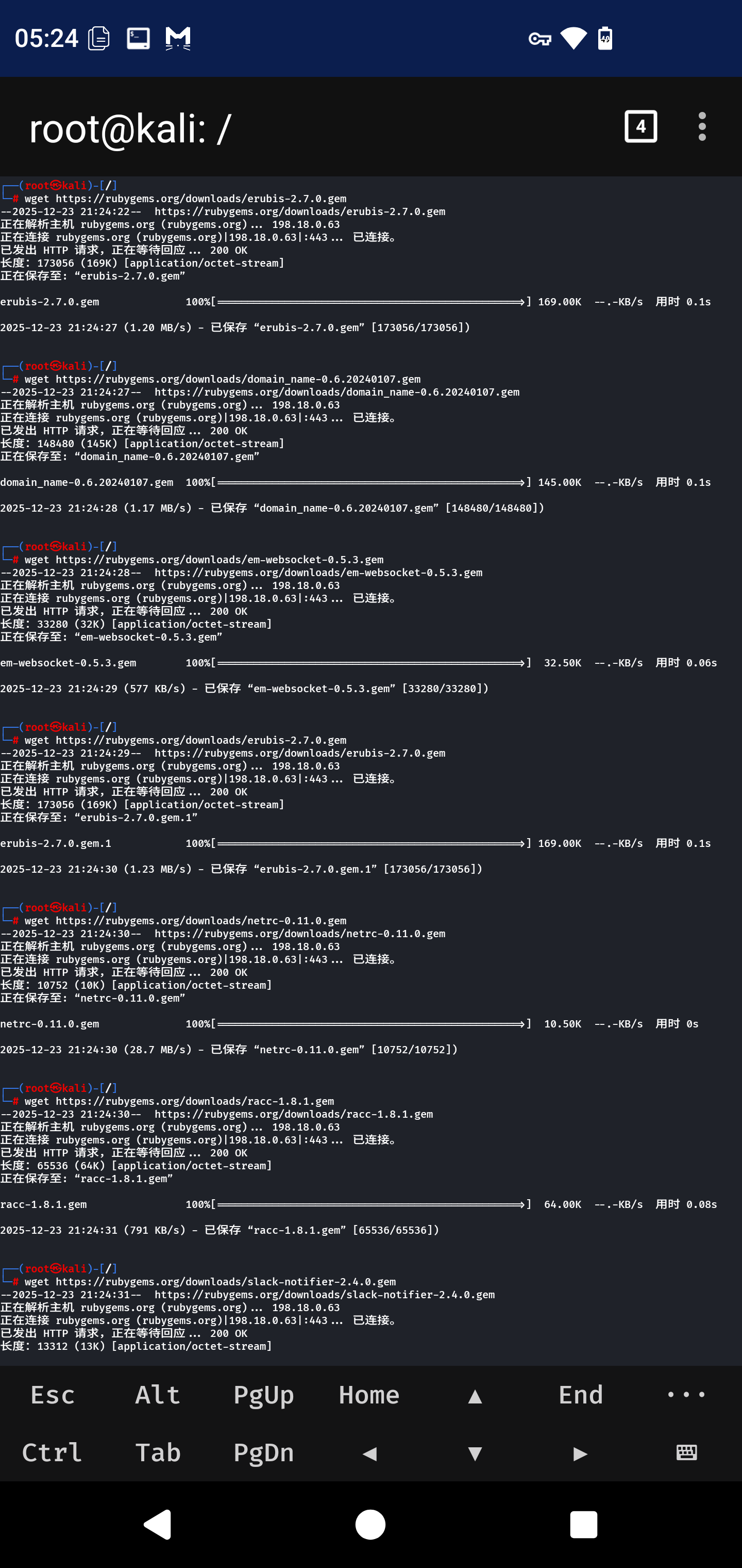 图片[6]-如何在Android手机的Termux-X FOR Kali NetHunter环境中安装BeEF-XSS并内网穿透-X黑手网