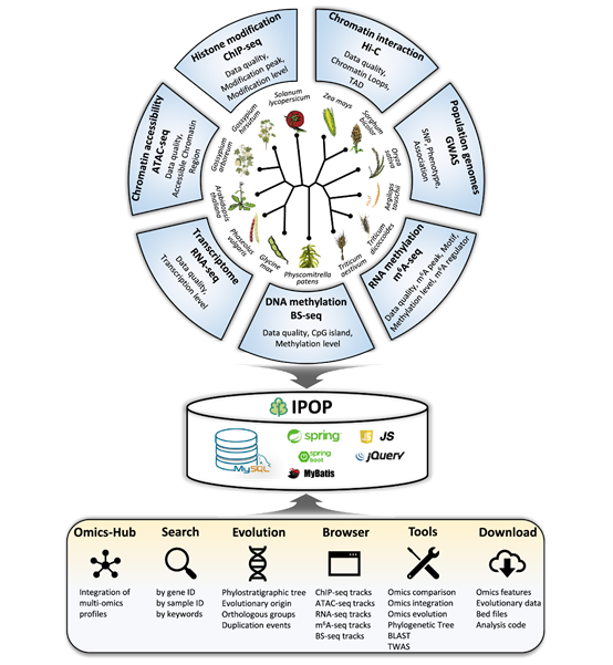 IPOP平台架构