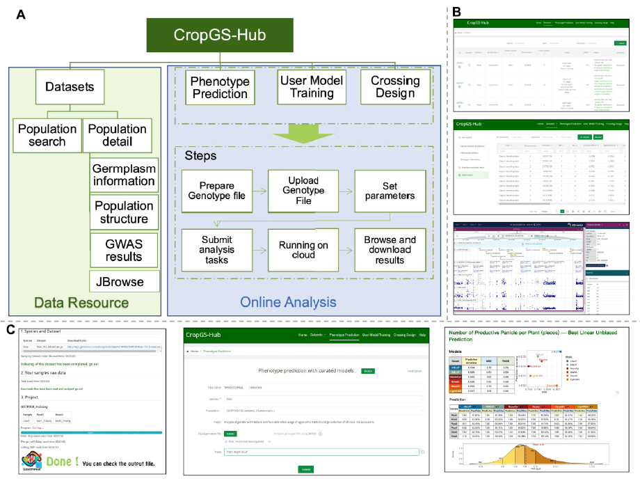 CropGS-Hub的主要模块与交互界面