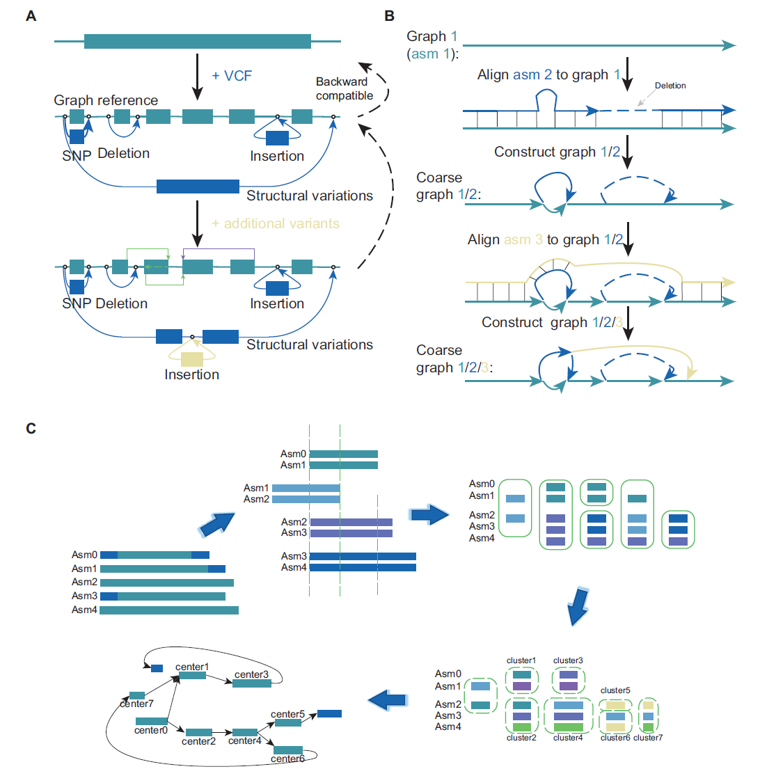 使用不同工具构建图泛的流程。(A) Seven Bridges 和 vg 根据参考基因组和结构变异构建基于图谱的泛基因组。
该图可根据新的变异信息进行扩展，绿线和紫线分别表示由 vg 完全支持的双向边缘和循环边缘。(B) minigraph 直接构建图泛。通过将基因组迭代比对到现有图来增强图泛。(C) MGR 通过同时比较多个基因组来构建图泛，划分不同的对齐片段，将对齐后的片段聚类，并将聚类中心转换为图的节点。