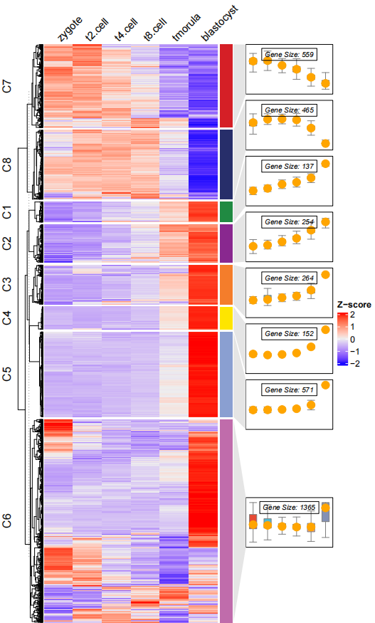 document - junjunlab/ClusterGVis GitHub Wiki