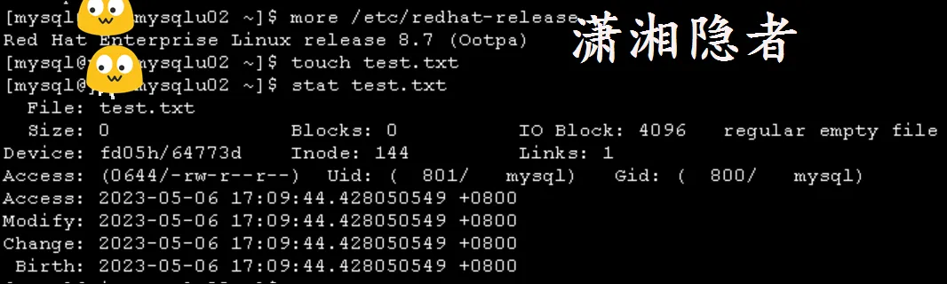 Linux xfs文件系统stat命令Birth字段为空的原因探究- 潇湘隐者- 博客园