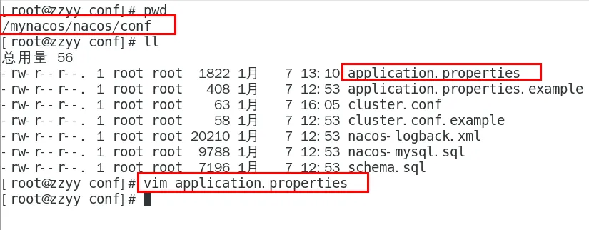 II-第十三章：（1）SpringCloud Nacos注册中心和配置中心