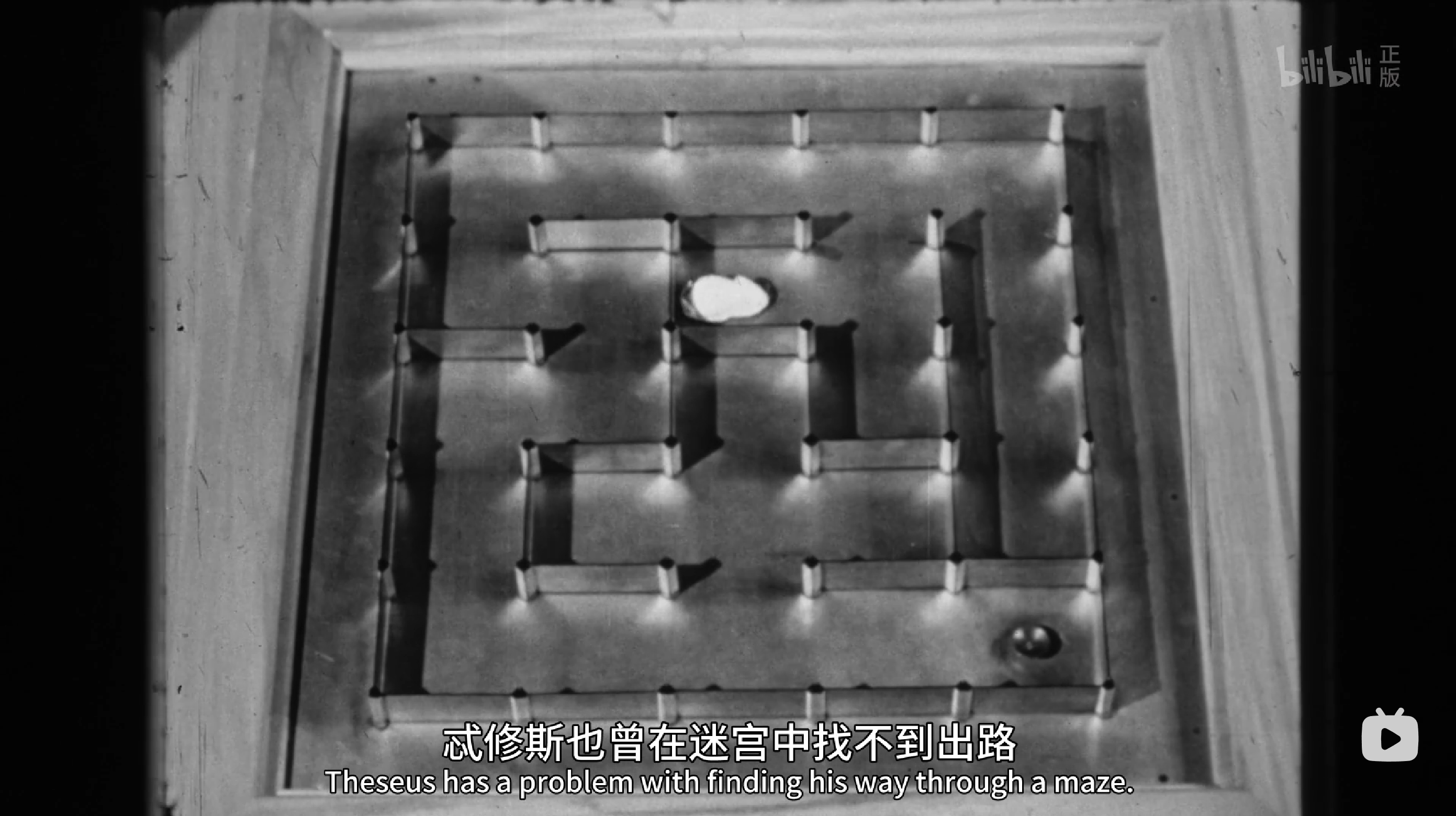能走迷宫的小鼠