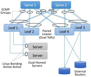 图39. 通过dual-homing、链路绑定和ECMP组的组合实现高可用性。