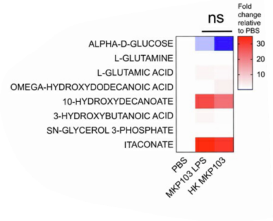 图S1-G 热灭活MPK103和LPS诱导的代谢组