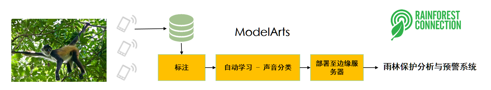 模型预测准确率 > 99%, 召回率 > 95%
