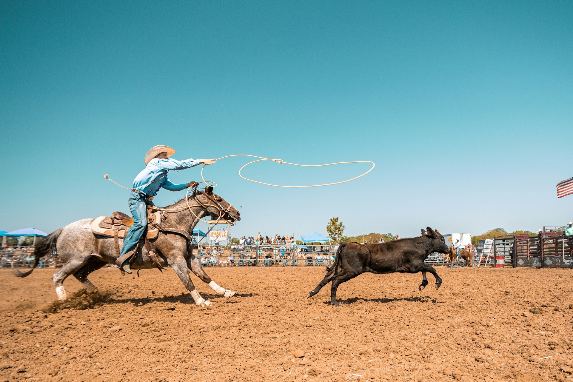 Photo by Xavier McLaren On Unsplash