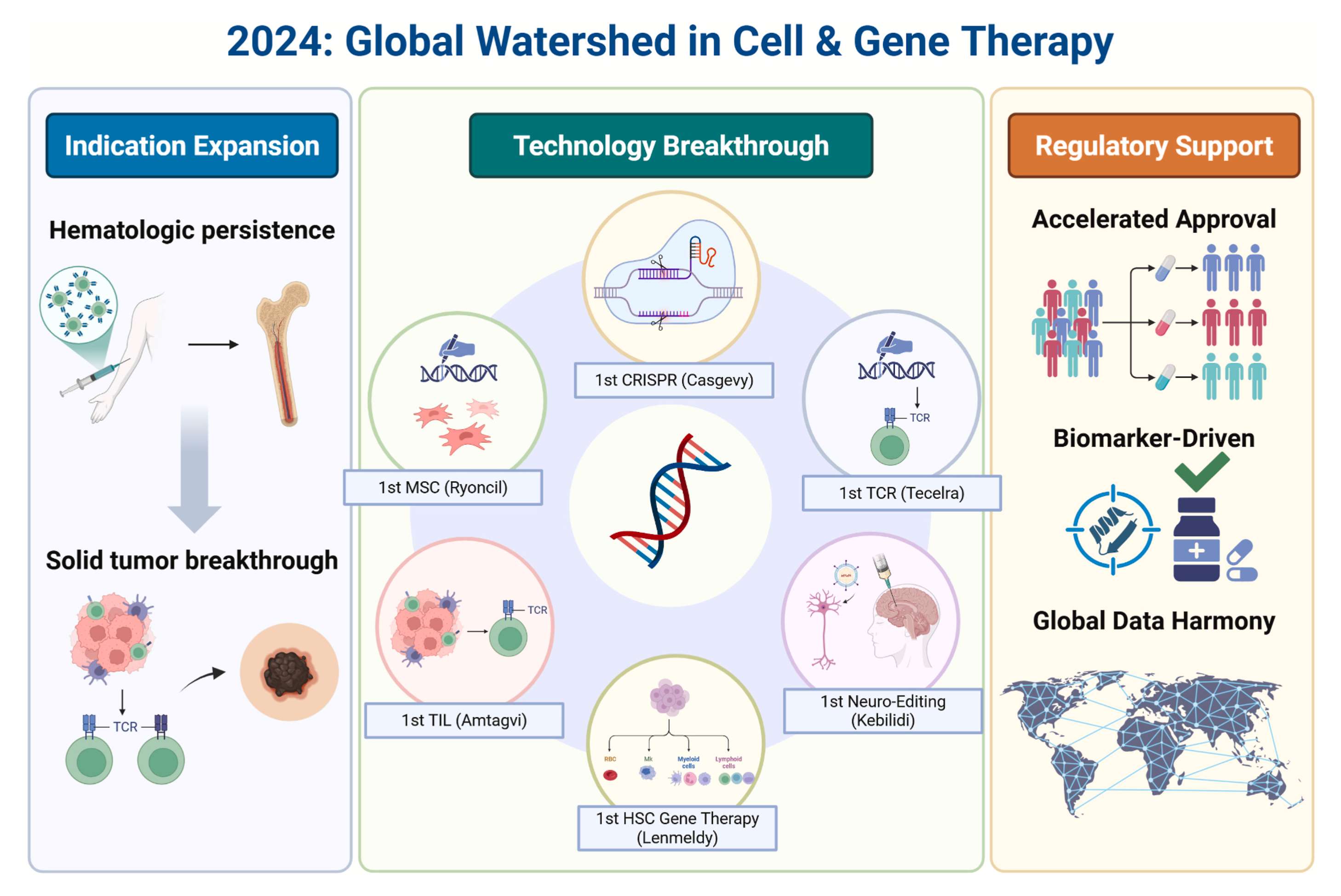 2024 年，如果只能为细胞与基因治疗（Cell & Gene Therapy，CGT）选一个关键词，那大概就是——“分水岭”。 - mdnice 墨滴