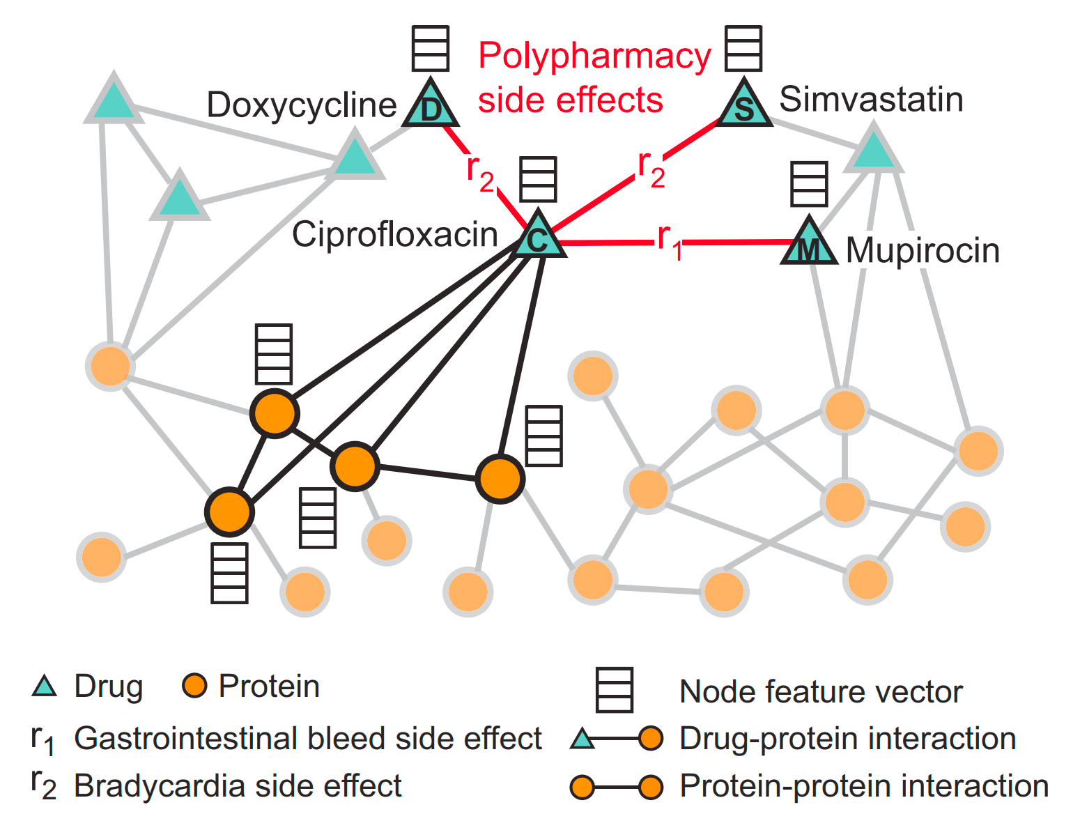 Fig 1. An example graph of polypharmacy side effects 