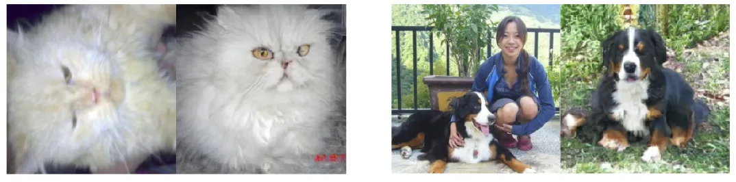 图6 分布外图像重构结果：方位不同(左侧)和语义缺失(右侧)