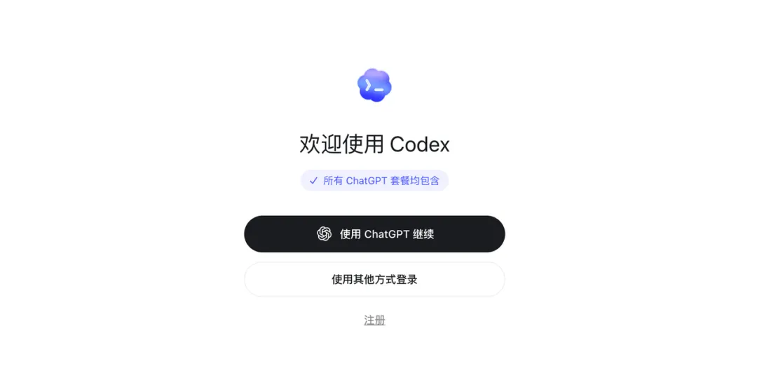 图 1：进入 Codex 工作区