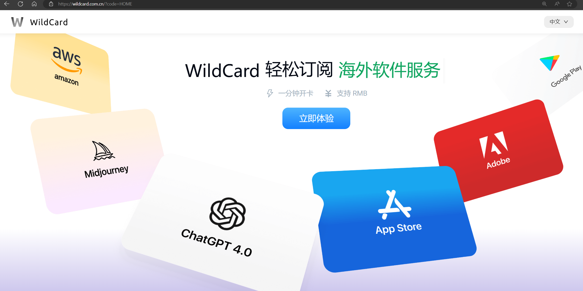 Wildcard官网首页