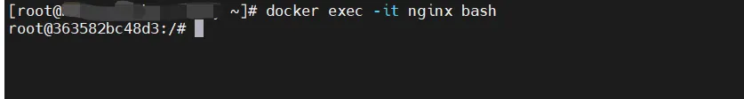 进入Nginx容器