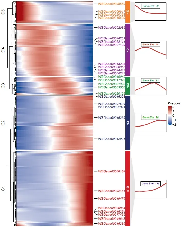 注意：本图为示例图，并非上边代码执行结果